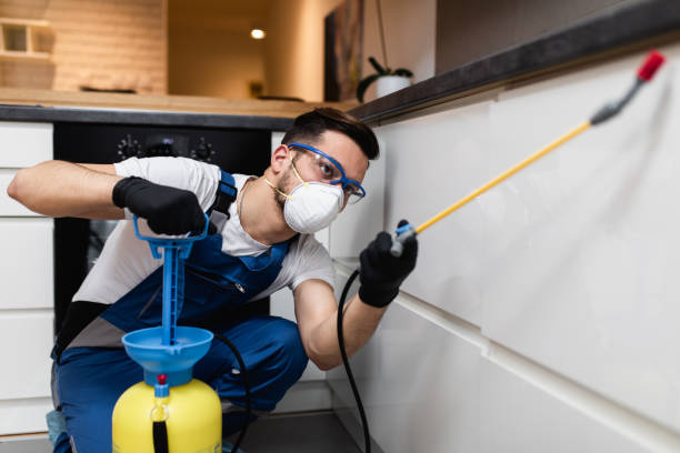 Best Best Pest Control Companies  in Sturgeon, PA