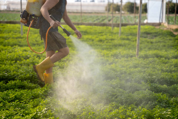 Best Affordable Pest Control Services  in Sturgeon, PA